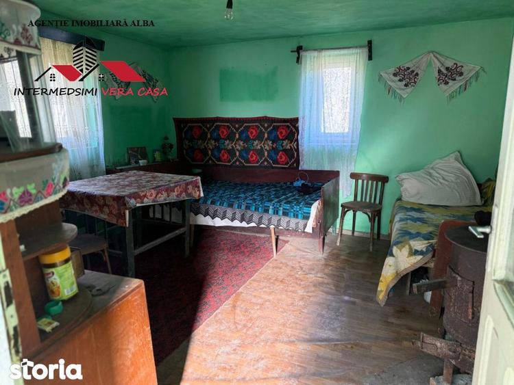 Casa si anexe cu un teren de 7701 mp de vanzare in Stauini Jud Alba - 11