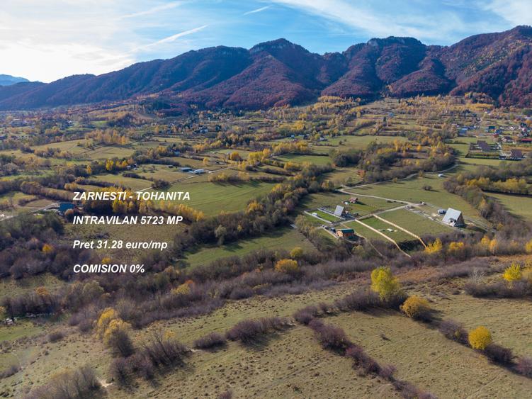 Teren intravilan 5723mp Zarnesti Tohanita- case de vacanta,investitie in turism - 20