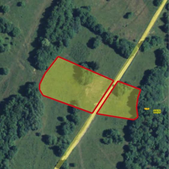 De vânzare teren extravilan în localitatea Brădet! - 2