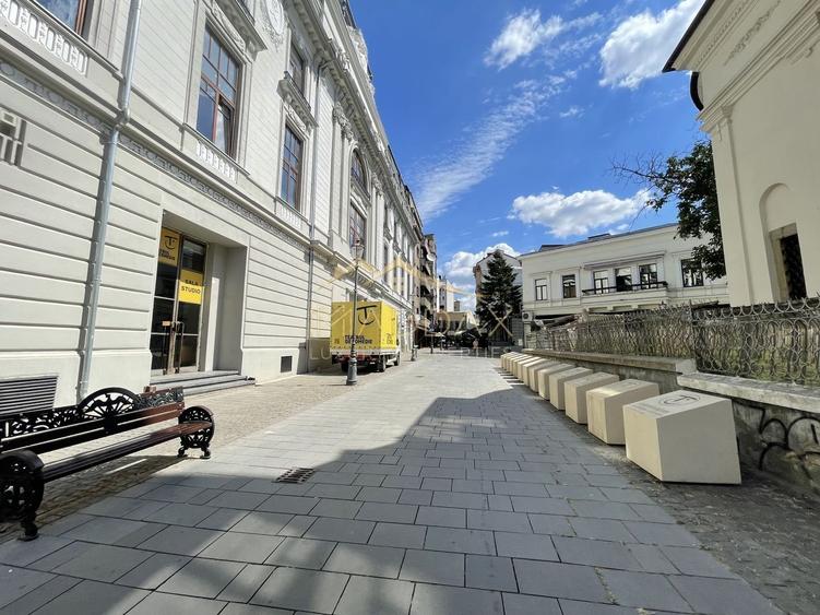 Apartament 5 camere**Oportunitate investitie**Caru"cu Bere//Centrul Istoric - 22