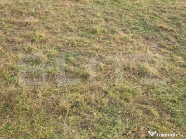 Teren intravilan Sanpetru - ideal c-tie casa- 500 mp - 1