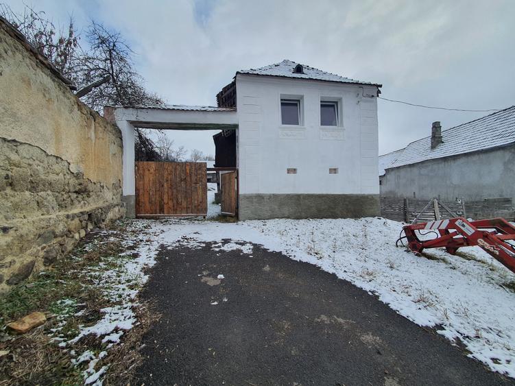 Casa singur în curte - 11