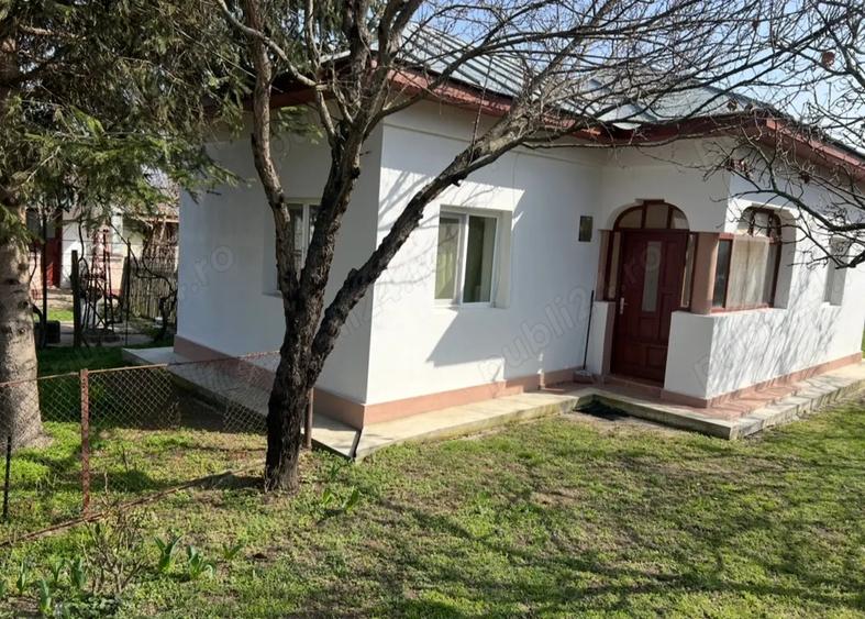 Vand Casa Crivina Jud Giurgiu - 7