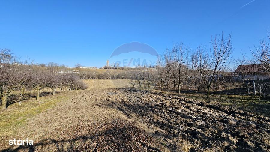 Casa / Vila , Salcea, Suceava - 6