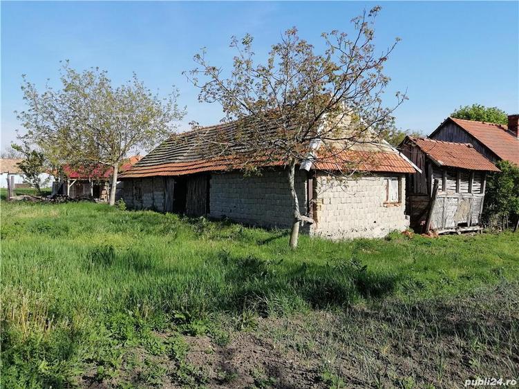 Vand Casa Clopodia - 1
