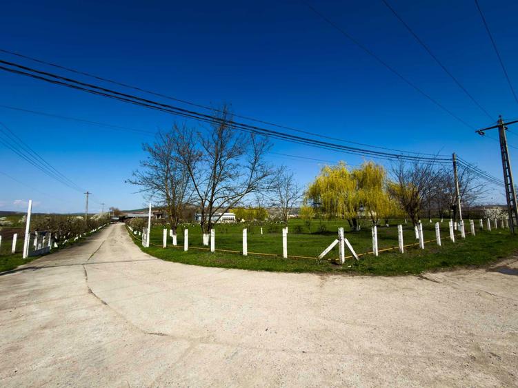 SE VINDE SAU SE INCHIRIAZA teren cu constructii Ludus - 1