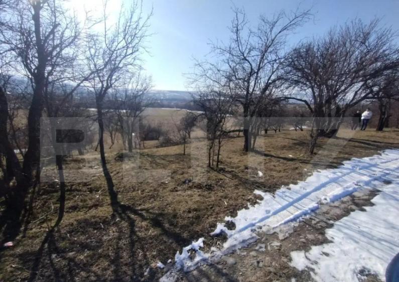 Teren extravilan de vanzare, 25 ari, zona Rusul Bargaului - 4