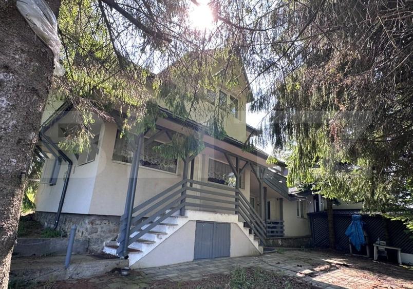 Cabana de vanzare in Belis - 2