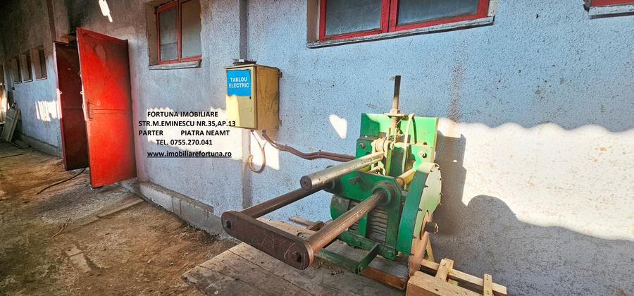 Hala si teren , Piatra Neamt - 5