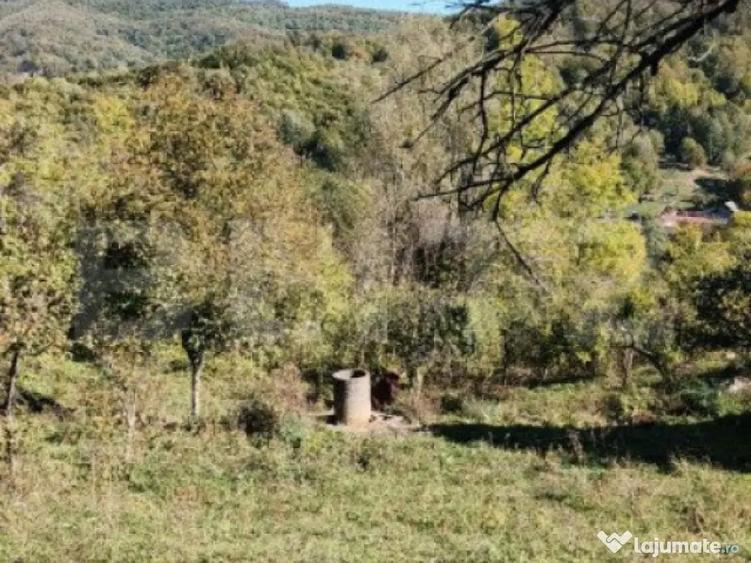 Teren cu priveli?te superba , livada ?i poten?ial casu? - 13