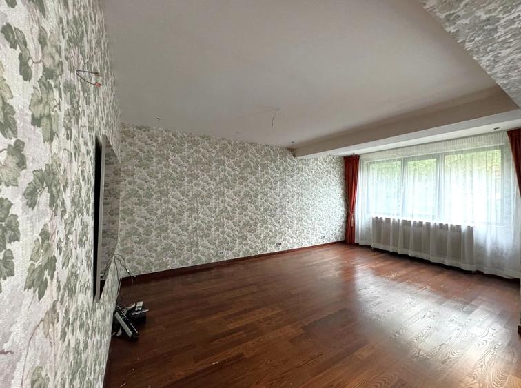 Vila Iancu Nicolae - 4