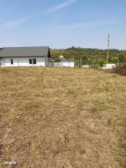 Teren de vanzare de 8600 mp - 3