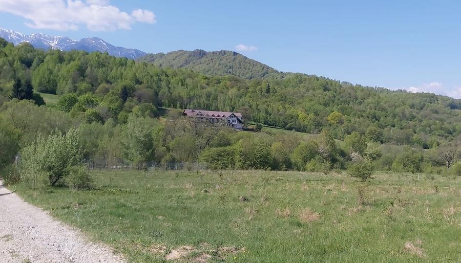 Vanzare 1266 mp teren superb Cheile Rasnoavei la munte langa padure si pensiuni - 13
