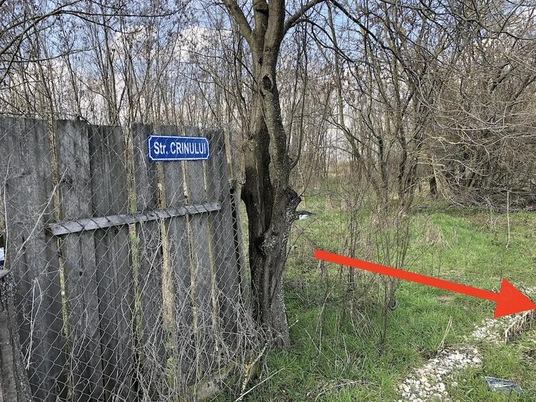 Teren de 1000 mp, în Valter Mărăcineanu