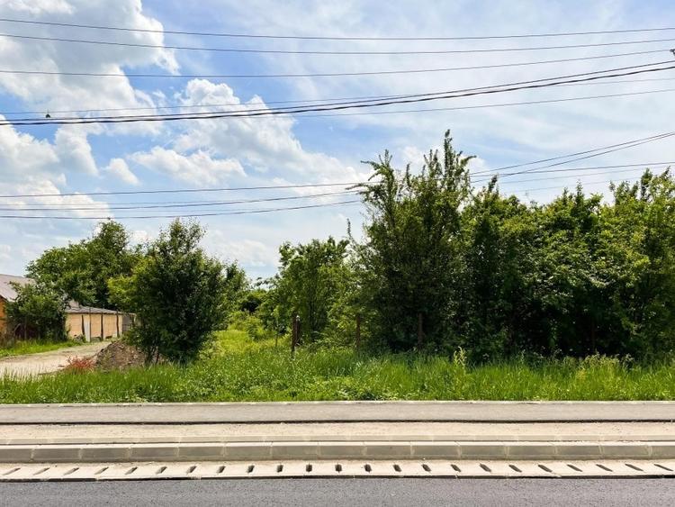 Balotesti - Caciulati, teren intravilan, suprafata 2.596 mp - 1