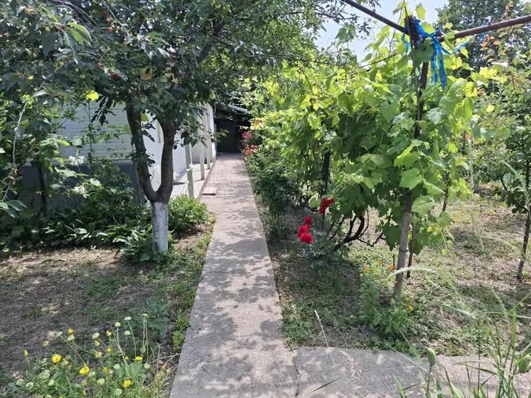 Vand proprietate in comuna Nanesti Vrancea - 10