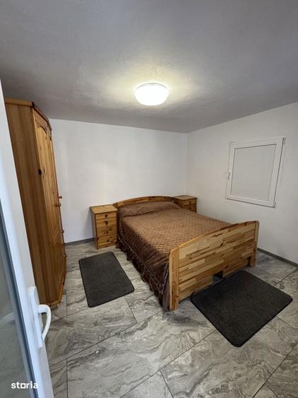 Casa sat Palilula - 9