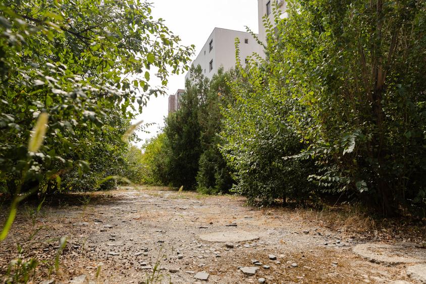 Teren Construcții intravilan de 1773 mp, în Prelungirea Ghencea