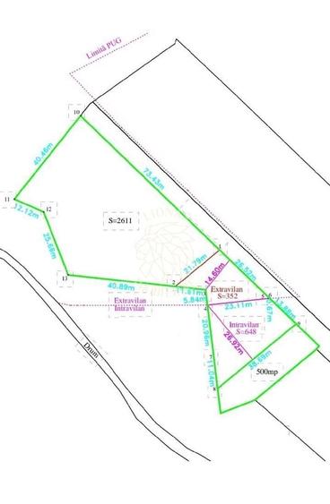 Teren Construcții intravilan de 4761 mp, în Viișoara