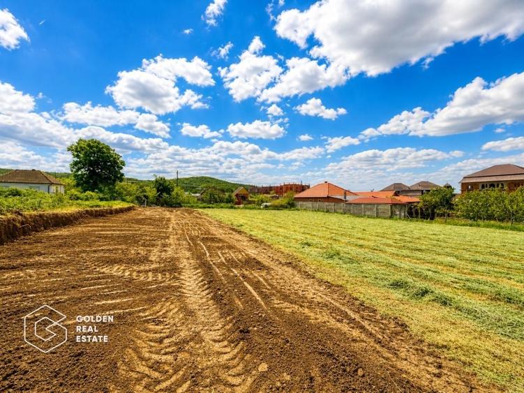 Teren agricol intravilan de 1402 mp, în Șiria