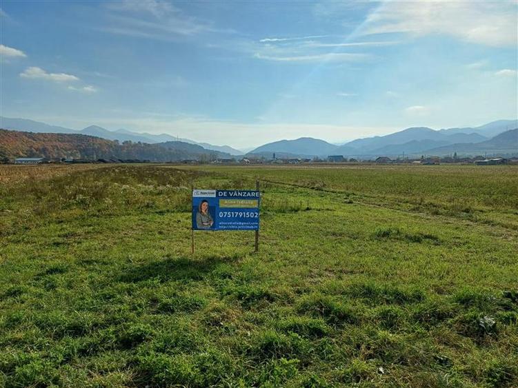 Teren Construcții intravilan de 10000 mp, în Exterior Sud