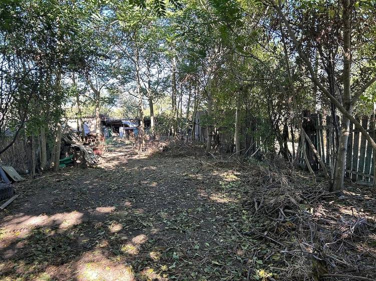 Casă cu Teren 1800 Mp în Comana