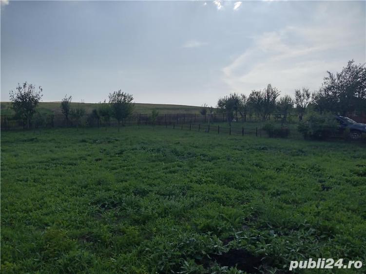 Teren de 11600 mp, în Câmpenești