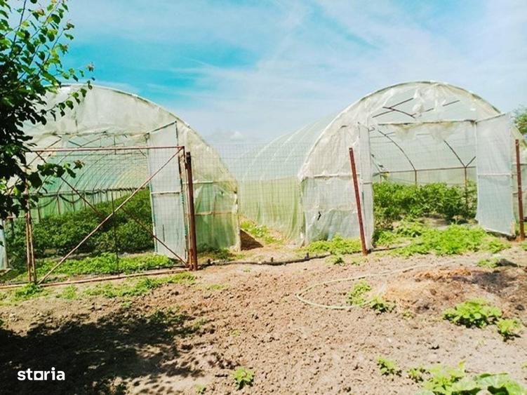 Casă cu 3 camere cu Teren 4302 Mp în Pleșoiu