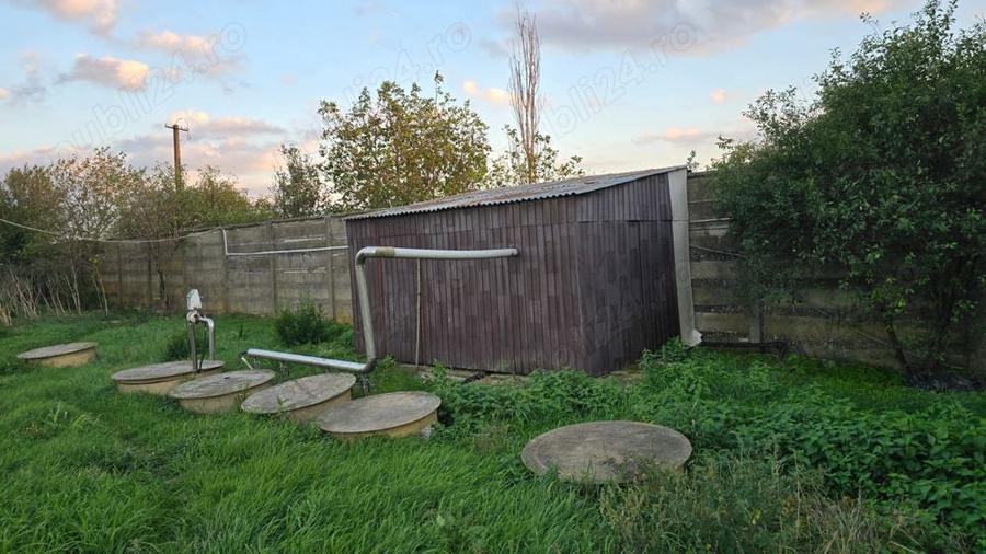 Vand hale frig (1200 mp)+teren intravilan 6400 mp (3000 curte betonata) in Carani (intre TM si AR ) - 8