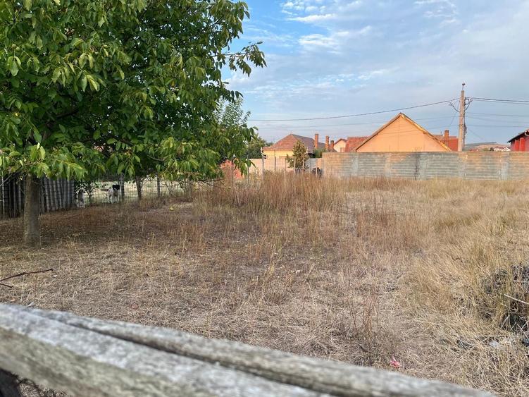 Casa cu gradina pe 2000 mp in SEBES - 8