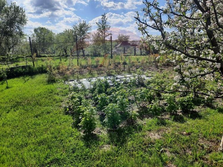 Casă langa Fagaras cu teren de 1836mp si parau in spatele curtii - 7