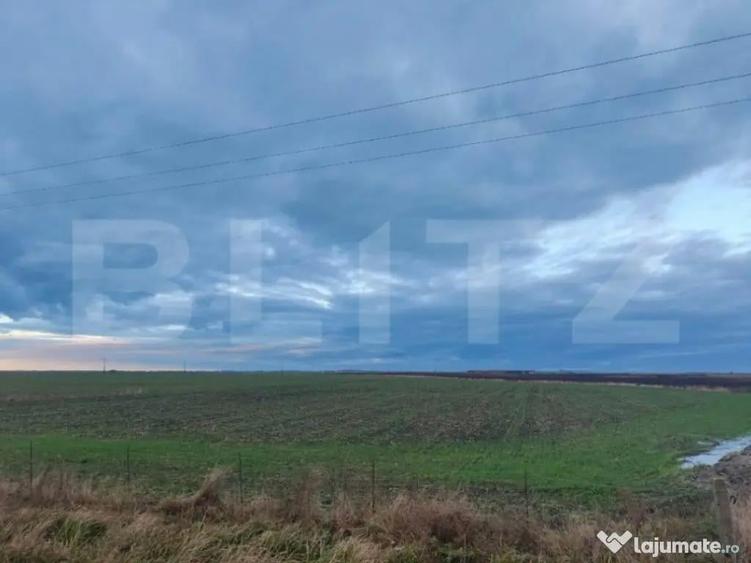 Teren intravilan, arabil, 39 ha, Sanmartinul Sarbesc - 5