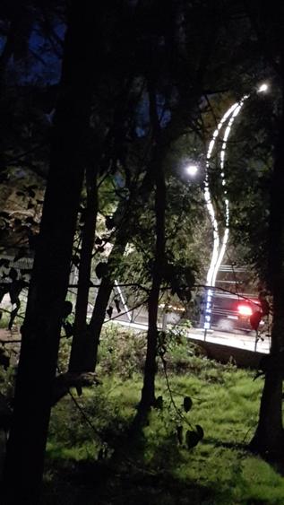 Teren Generos/ Locatie Premium - 2