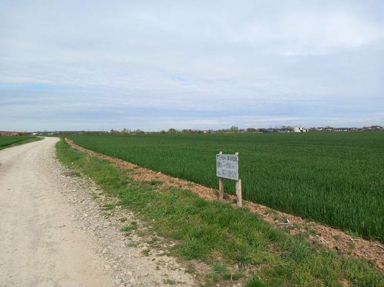 Teren intravilan 1850m - 6