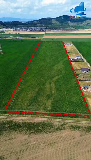 Teren Intravilan Cu PUZ Harman 32100 MP - 2