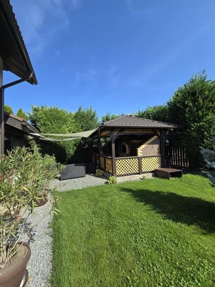 Casa de Vis, Serbanesti - 4