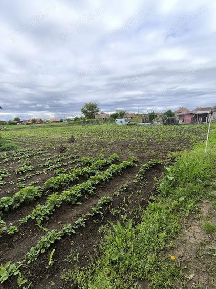 Casa de vanzare!! - 7