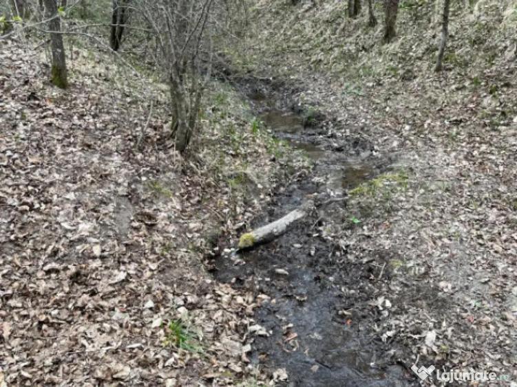 Teren extravilan de vanzare, 3.5 ha padure + pasune in Comun - 8