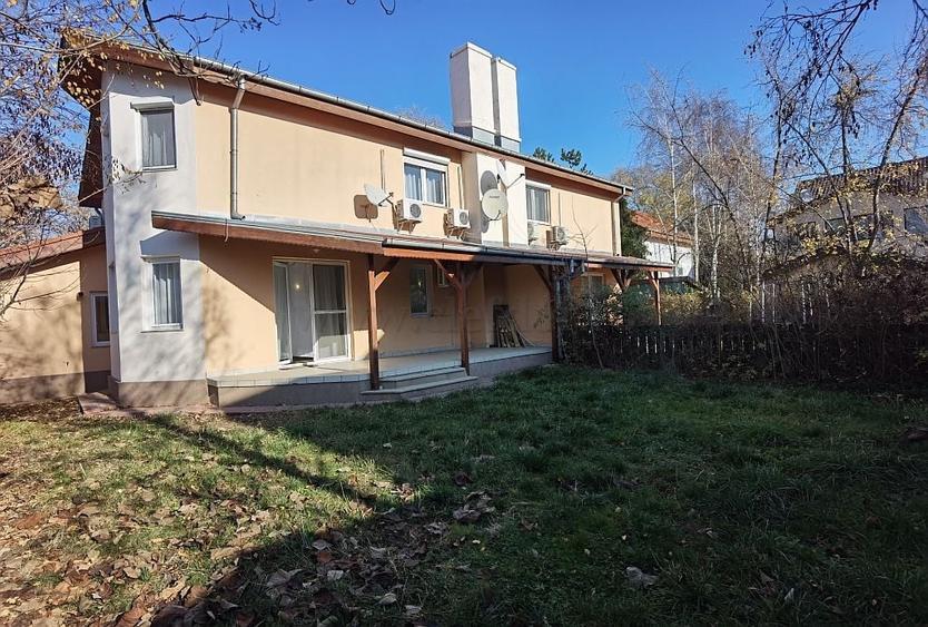 Vilă de lux in zona Iancu Nicolae - 15