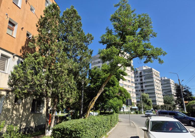 Spa?iu comercial, Ale. N.Titulescu, col? cu str. Minerilor - 4