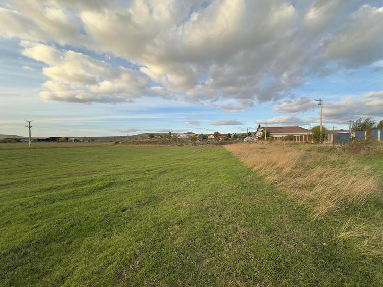 Teren si proiect, 15813mp, fata Skoda - 10