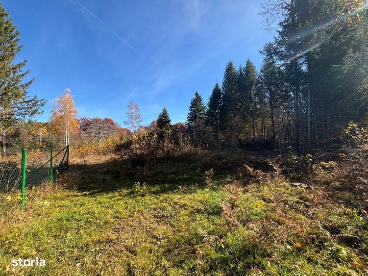 Teren intravilan 1725mp zona Valea Avrigului - 1