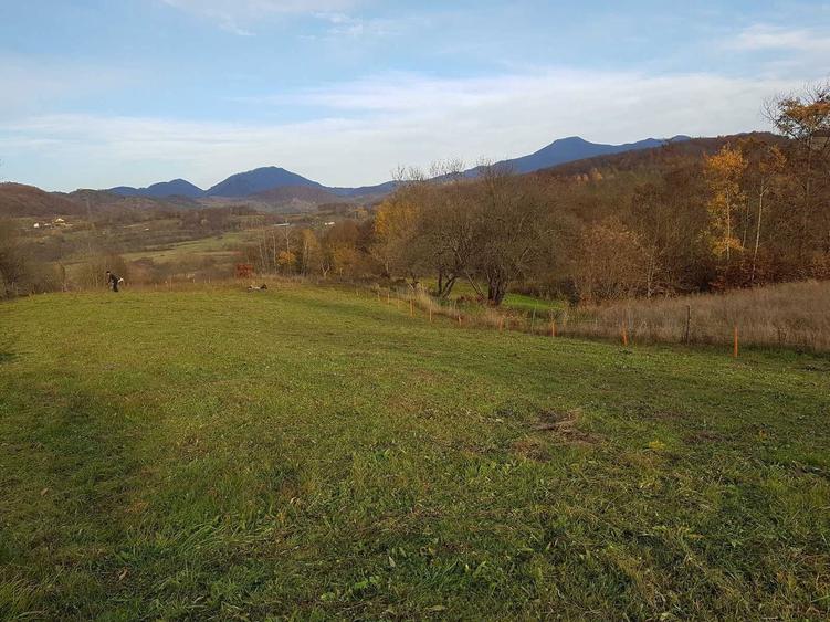 Teren pentru Casa de Vacanta - 3