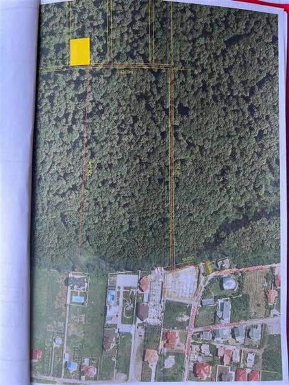 Vanzare teren Voluntari | padure | 1124mp | drum de acces | posibilitate constru - 1