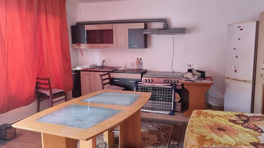 Inchiriez apartament cu o camera. In calea sagului - 1