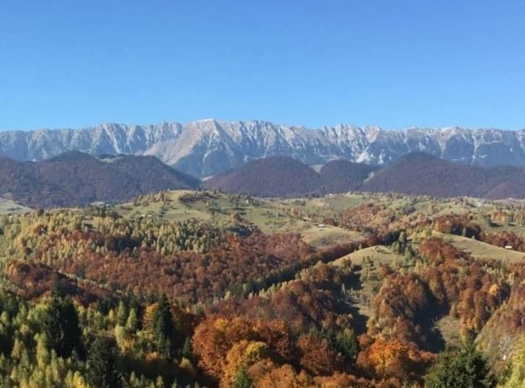 Oportunitate rara! Teren 7.283 mp, investitie garantata - 1