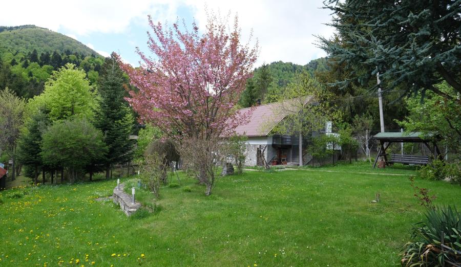 Vanzare 2 vile noi, mari superbe si 1905 mp teren la munte in Cheia Prahova - 5