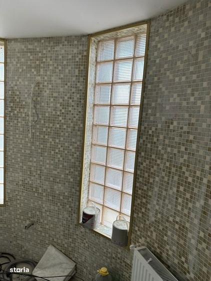 Casa Aeroport Vasile Gionea (dupa Dezmembrari) - 3