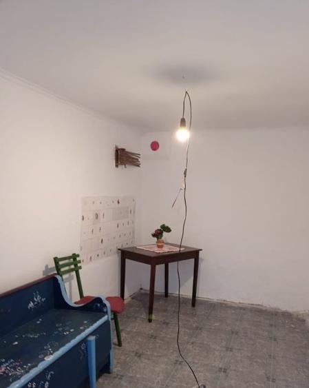 Casă de vânzare în Calnic, Alba – liniște, natură și potențial turistic - 13