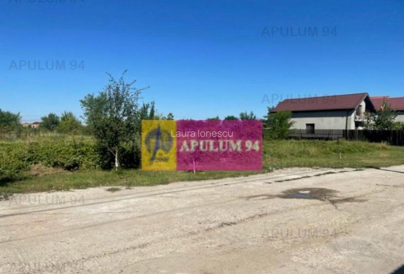 Teren Clinceni- Putu Olteni- Ortansei.